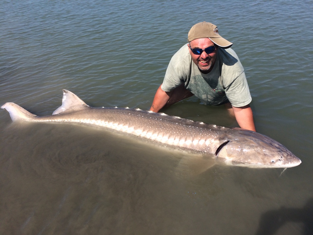 Sturgeon fishing on the Fraser River, British Columbia