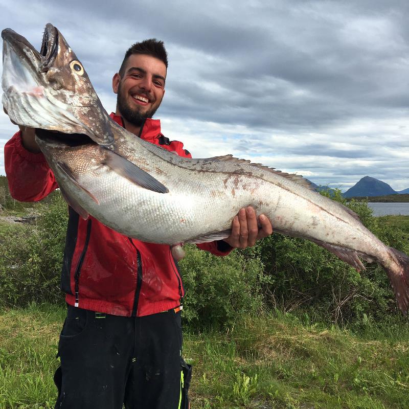 Hake world record 30lb 15oz...