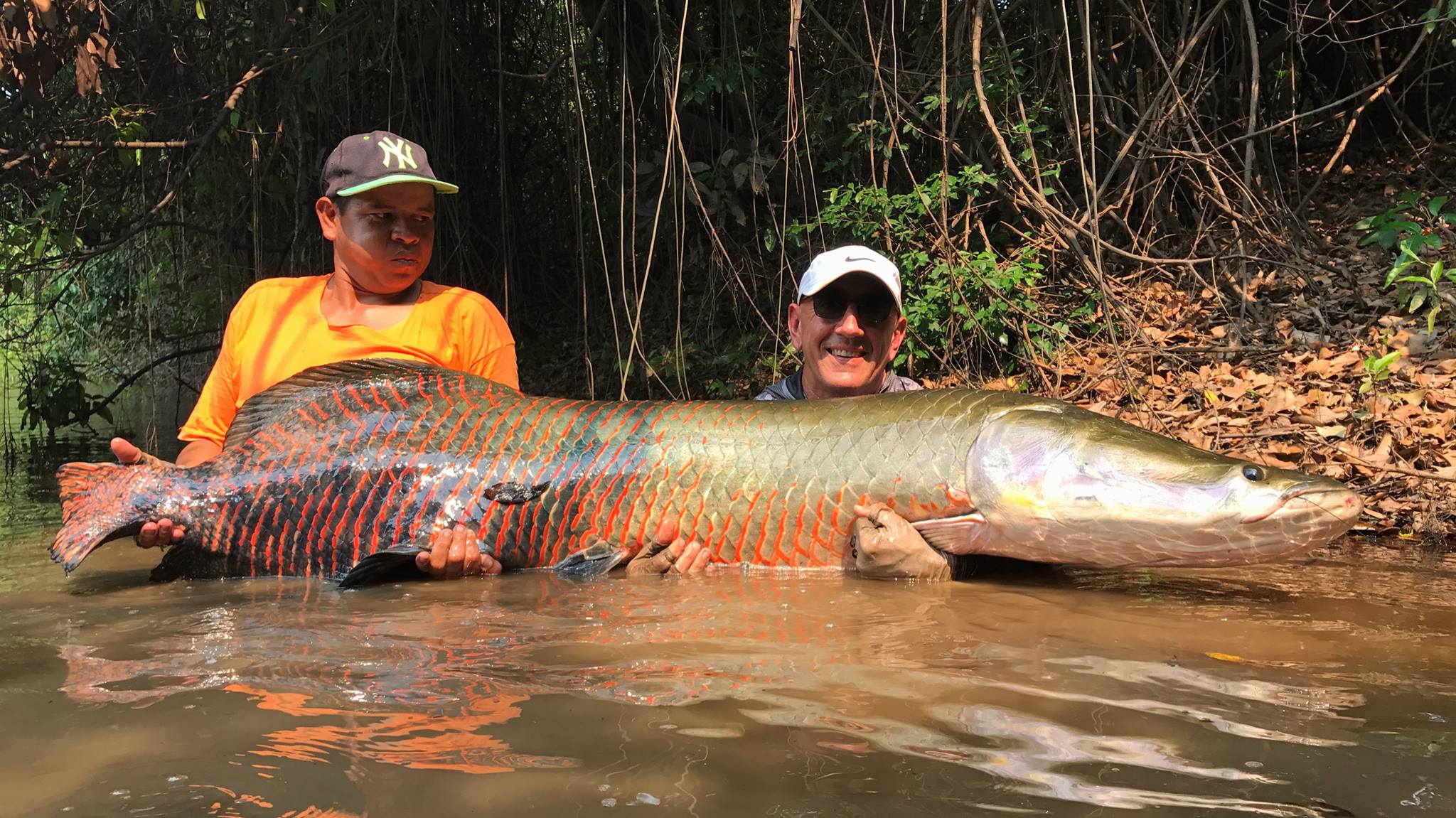 The best arapiama fishing in the world