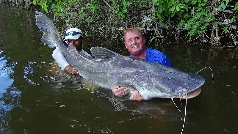 Steve 225lb paraiba catfish 2017