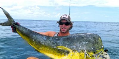 mahi mahi