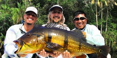 World record speckled peacock bass caught in Brazil.