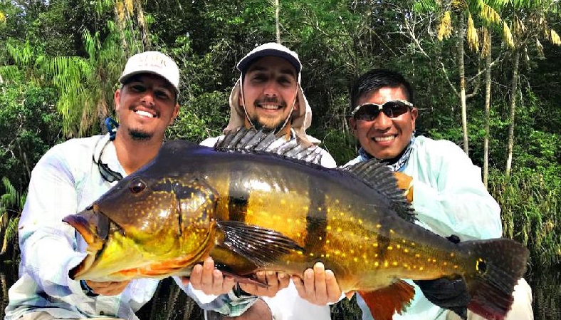 World record speckled peacock bass caught in Brazil.