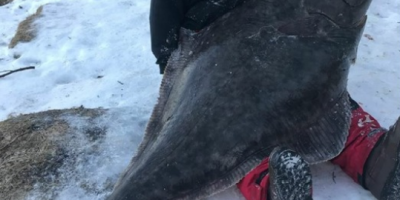 Dave Wood-Brignall 153lb 8oz shore caught world record halibut 2018