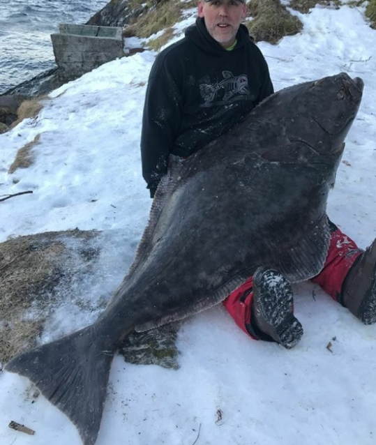 Dave Wood-Brignall 153lb 8oz shore caught world record halibut 2018