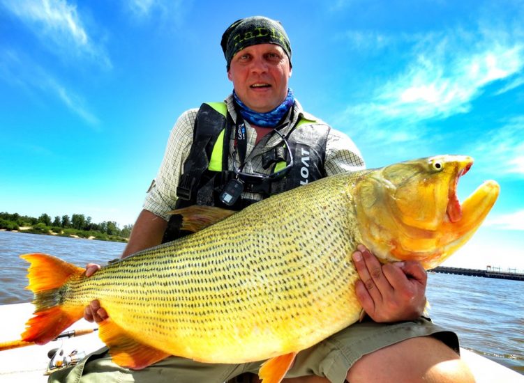 golden dorado argentina