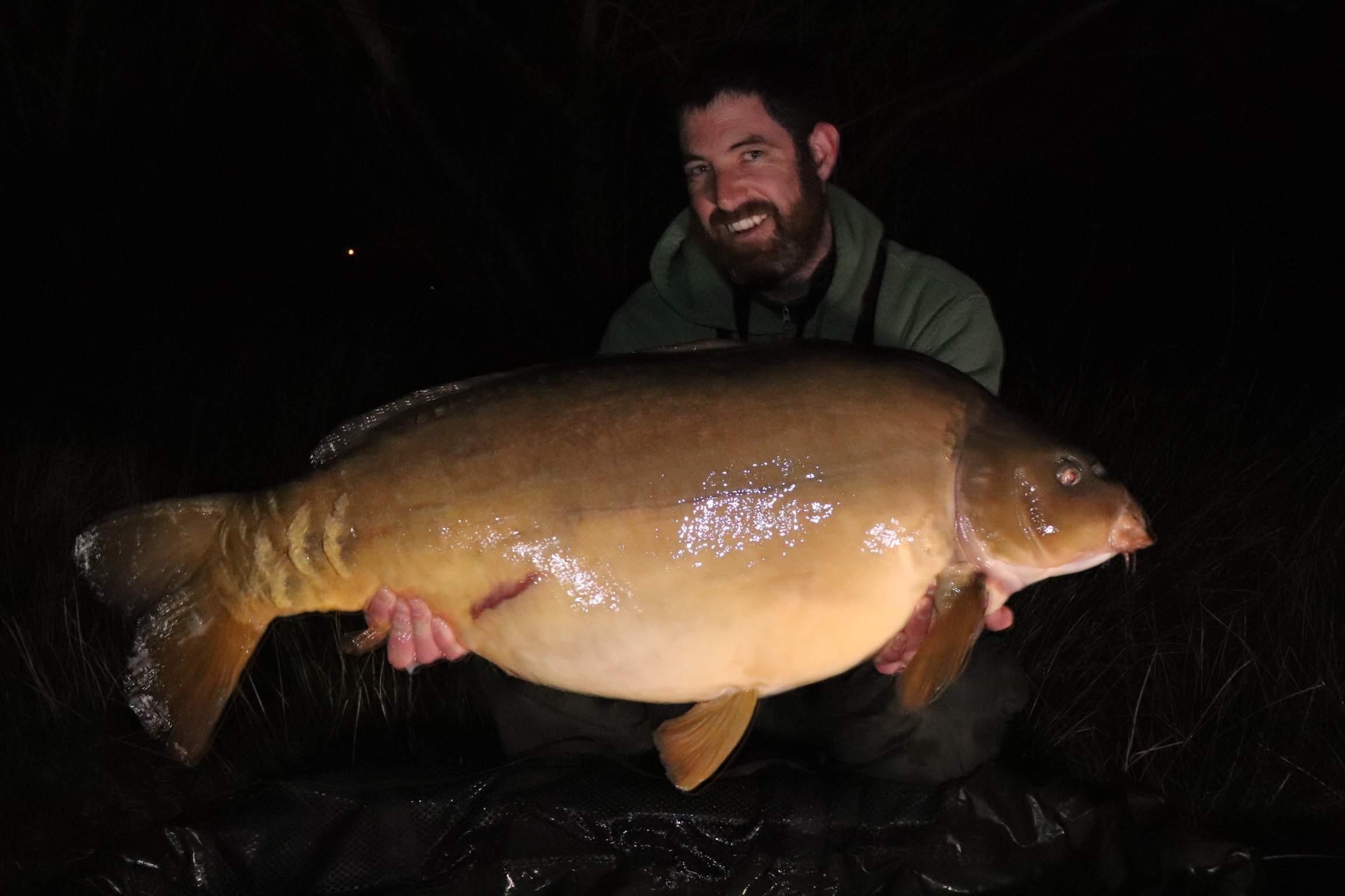 Isle of Wight 52lb carp