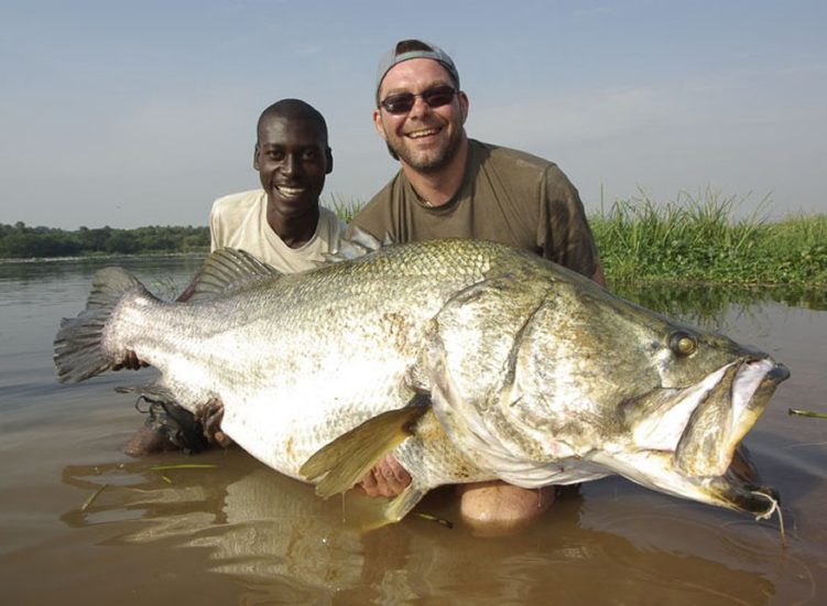 nile perch murchison falls national park uganda