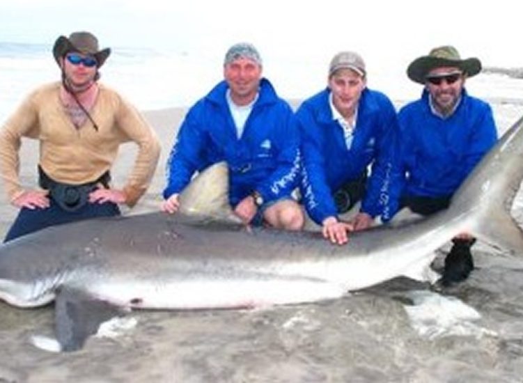 mola mola beach shark fishing namibia