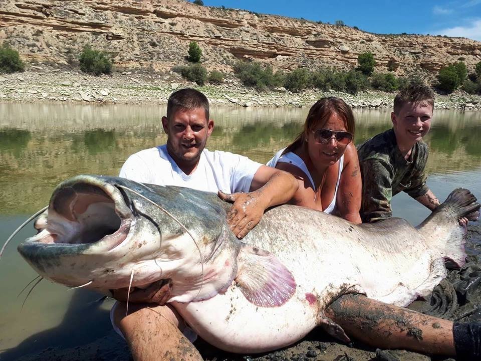 Catfishing Holidays River Ebro Spain