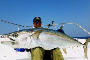 gts and dogtooth tuna andaman islands india