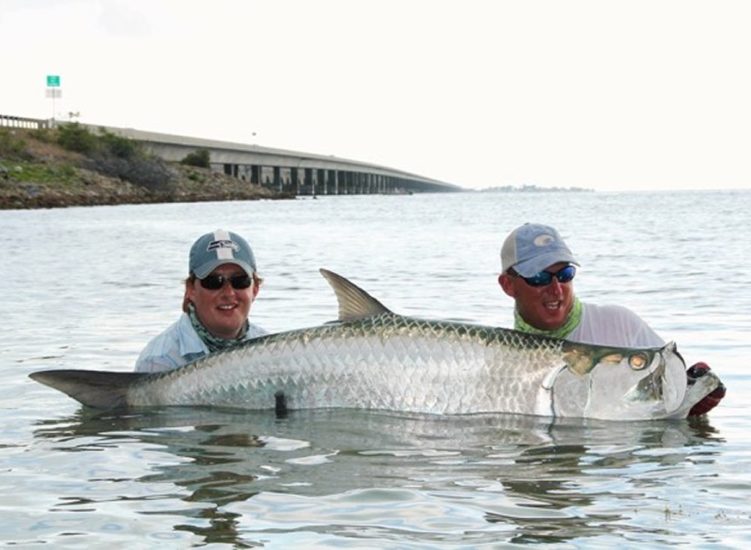 tarpon and more key west florida usa