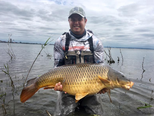 41lb carp caught fly fishing