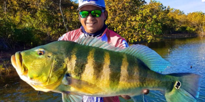 world record blue peacock bass