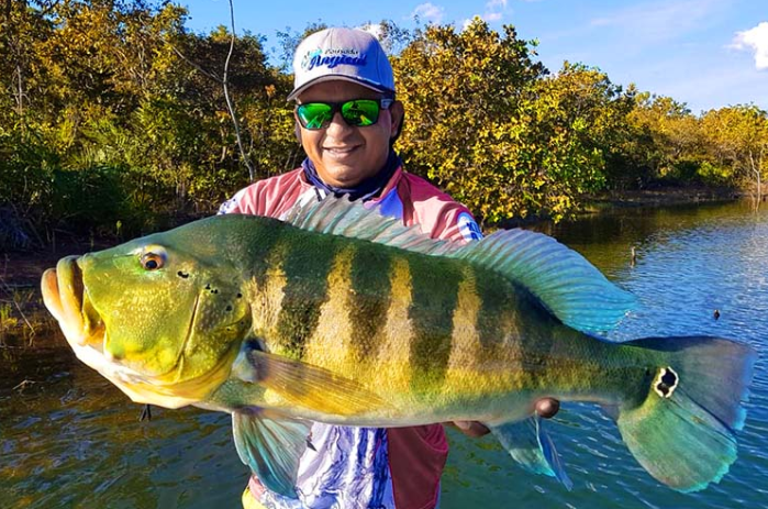 world record blue peacock bass