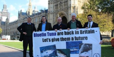 Uk anglers call for catch and release blue fin tuna fishery
