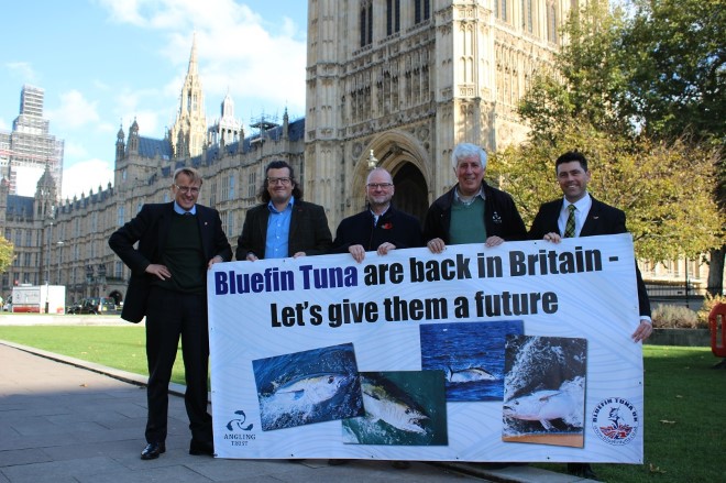 Uk anglers call for catch and release blue fin tuna fishery