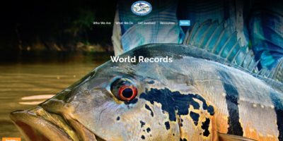 New IGFA website