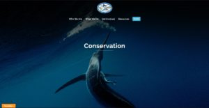 IGFA launches new website