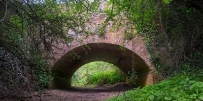 Chalk Streams In Crisis