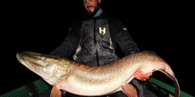 This giant of a German pike caught by Fredrik Harbort is thoughts to be among the biggest ever landed – and it was caught on a lure. At 138cm long, length for weight estimates place it at between 55-60lb in weight! Fredrik was fishing from a rowing boat on what he describes as ‘a small German lake’ when the massive predator snaffled is 21cm Abu Twin Tail lure in around 8m of water. “It was an unreal experience and a dream come true, said Fredrick.