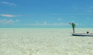 saltwater flyfishing in Florida