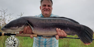 Richard Hart Snakehead