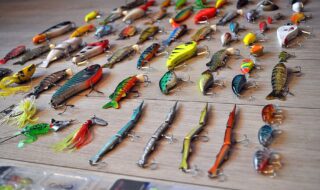 assorted lures