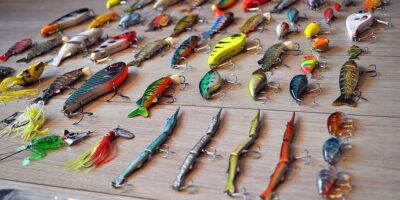 assorted lures