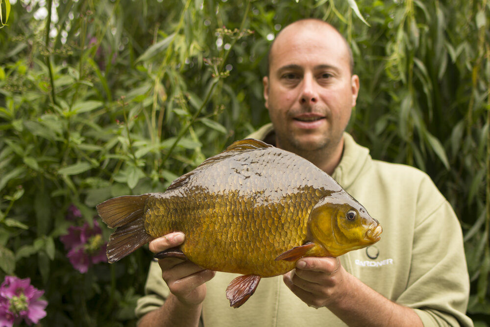 Craid Smithson 4lb 11oz crucian carp British Record claim