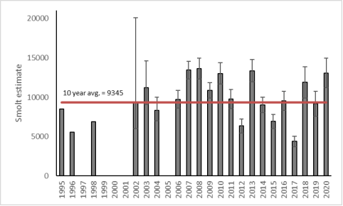 Smolt run at ten year high on the River Frome