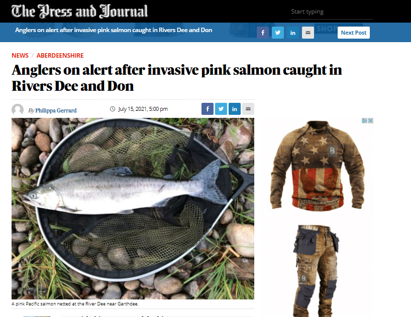 Anglers urged to be vigilent on look our for invasive pink salmon
