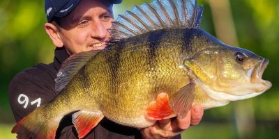 Big River Thames perch