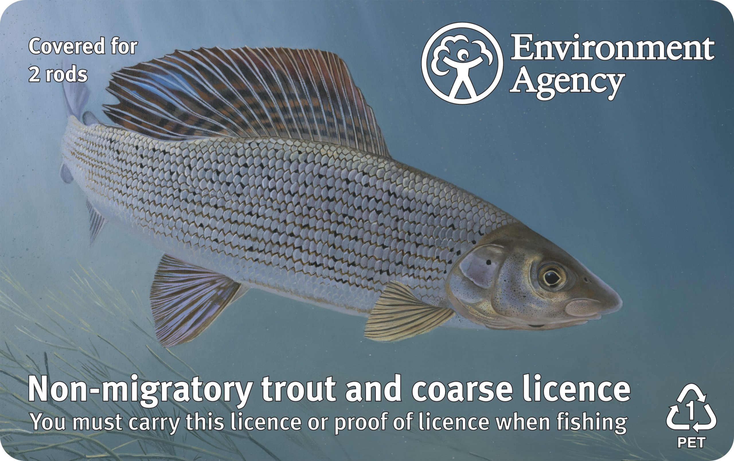Trout & Coarse fishing two Rod English fishing licence 2022