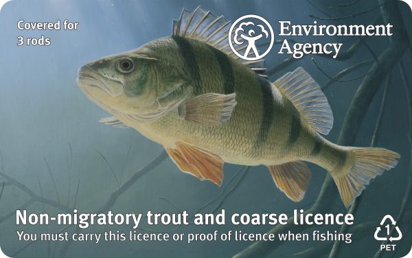 Trout & Coarse three rod fishing licence English 2022