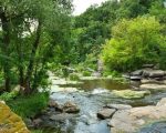 Government water plan Angling Trust reaction