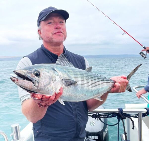 British record Atlantic bonito 2025.