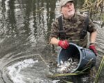 A Wimborne AC member releases the new fish in to the lake